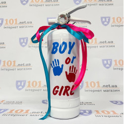 Баллон для гендер пати Boy or Girl