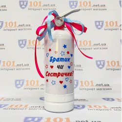 Баллон для гендерной вечеринки Брат или Сестричка