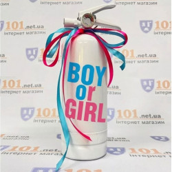 Огнетушитель для гендер пати Boy or Girl